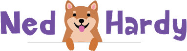 ned hardy logo