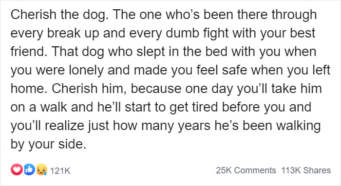 reminder to not take our dogs for granted