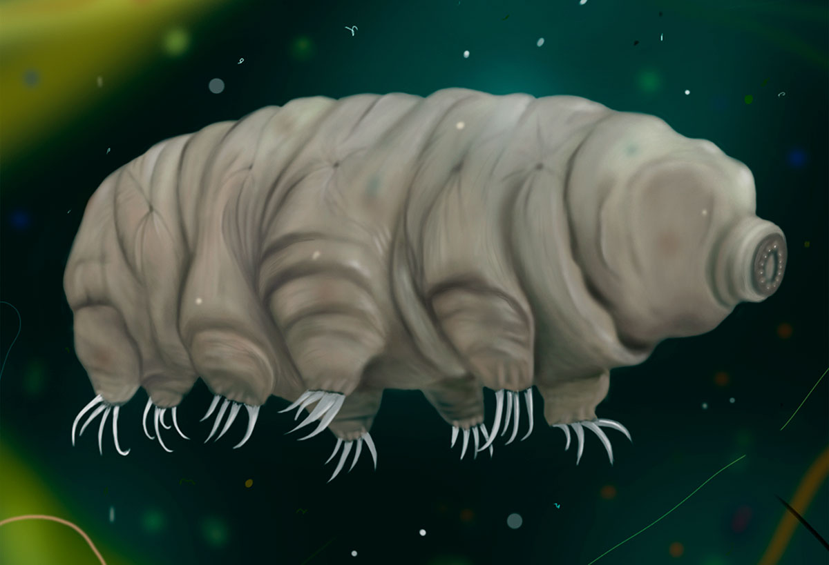 tardigrade indestructible
