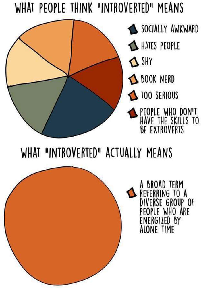 introvert memes