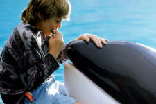 Whatever Happened To Jason James Richter, The Kid From 'Free Willy'? 
