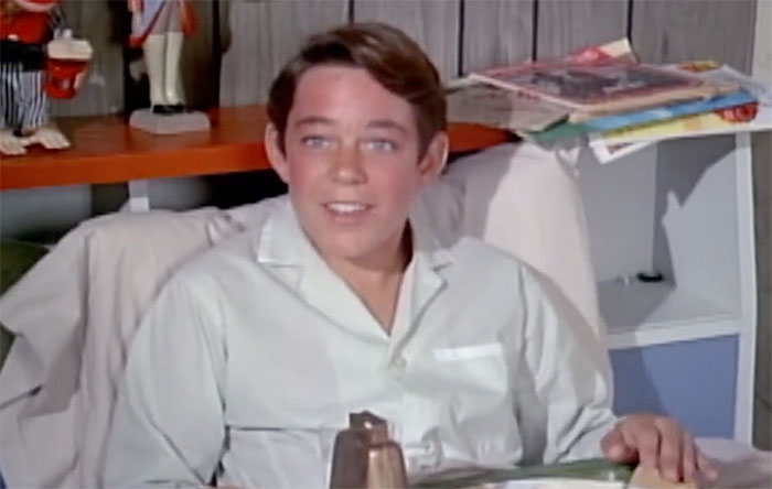 Barry Williams - The Brady Bunch