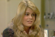 Lisa Whelchel - Facts of Life