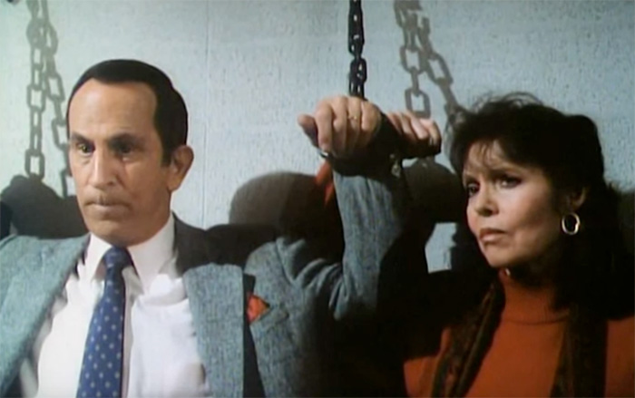 Barbara Feldon - Get Smart Again