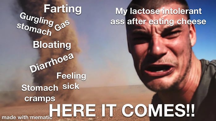 Lactose Intolerance memes