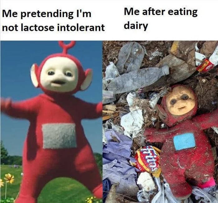 Lactose Intolerance memes