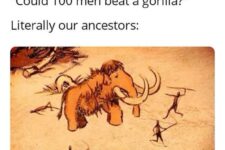 508711483_18291176992301572_1365291822719577699_n