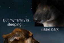 531828244_18523686484055399_6325746939420802169_n