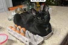 516633102_18472686919077038_8328156986832032455_n