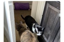 554517578_18486684949077038_1605519443438313129_n