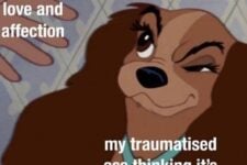 624126075_18116308042613166_5450192114932361235_n