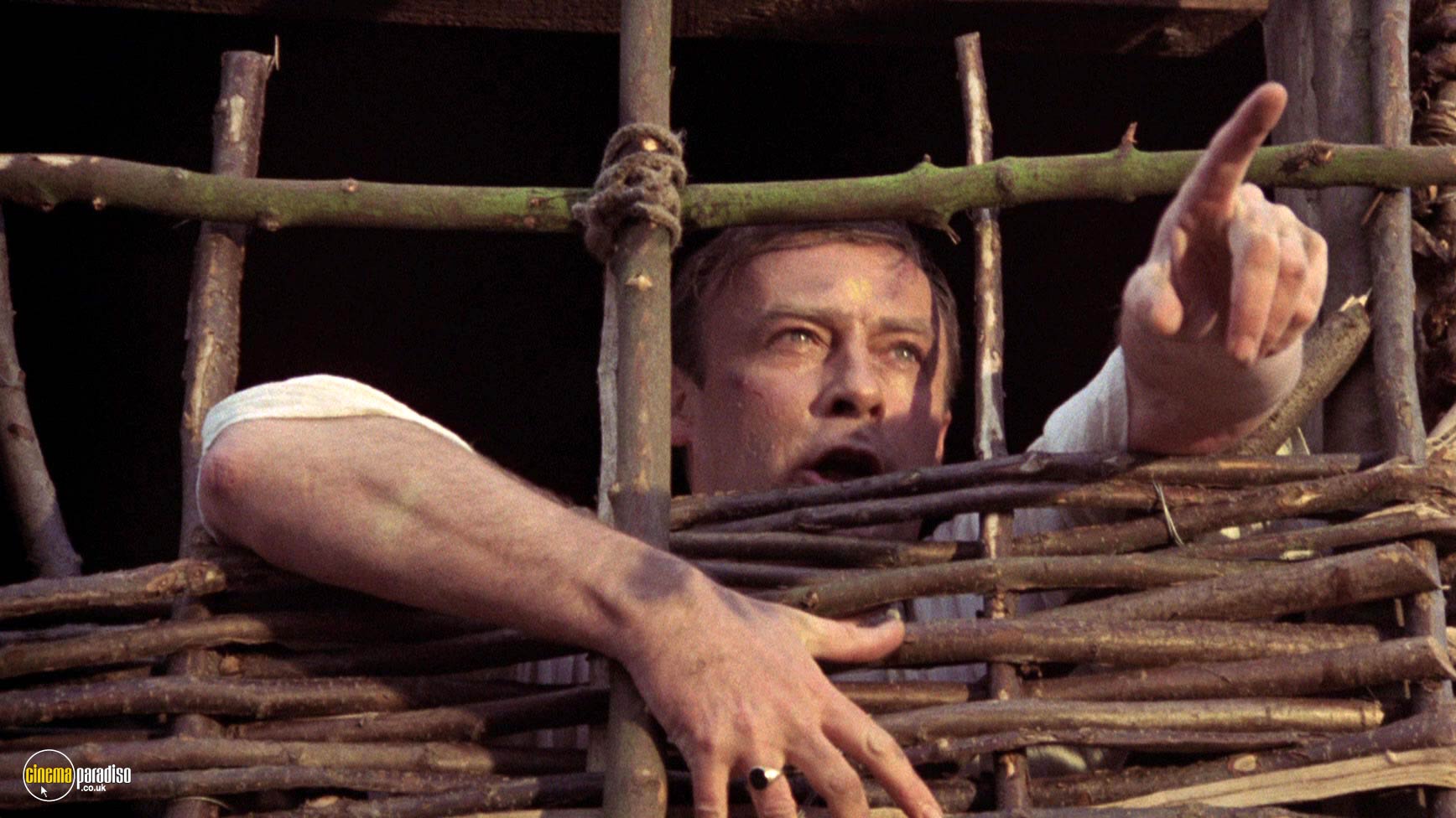 In 'The Wicker Man' (1973), Sergeant Howie travels to Summerisle to investigate what?
