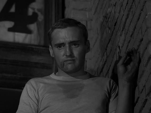 What distinguishes Season 4 of the original 'The Twilight Zone' from every other season?